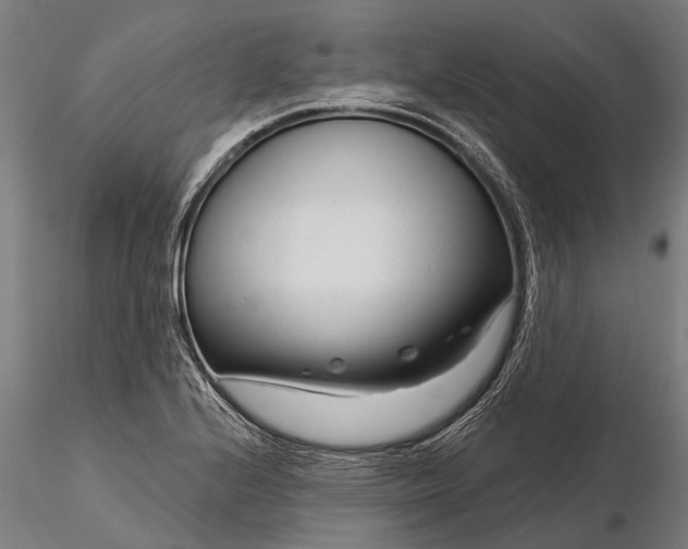 X0000116341224200912151320