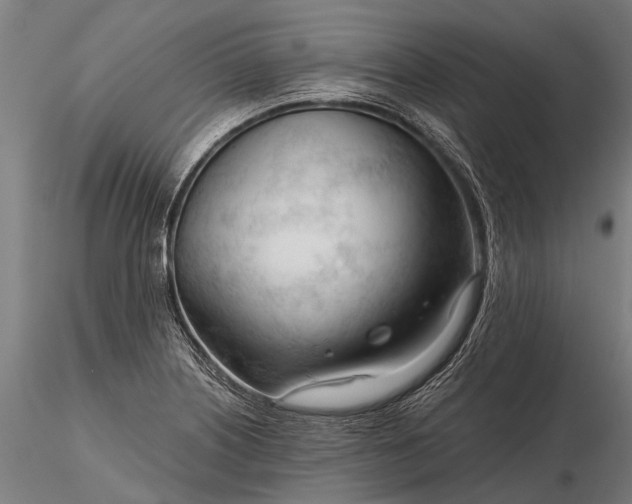 X0000116341226200912151320