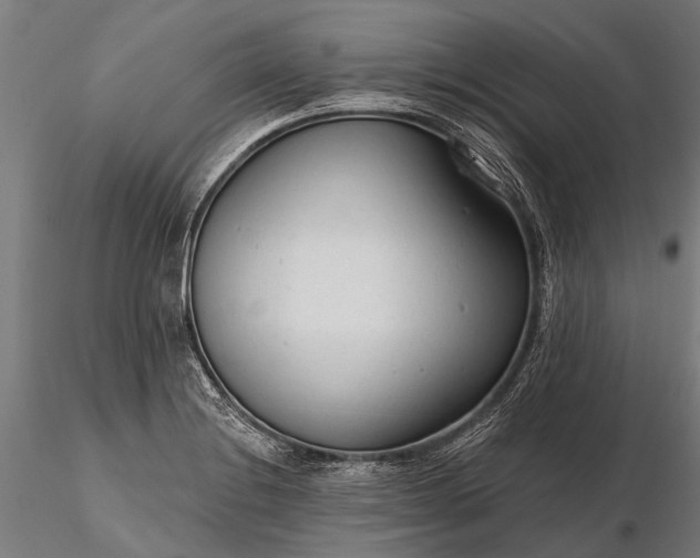 X0000116341228200912151320