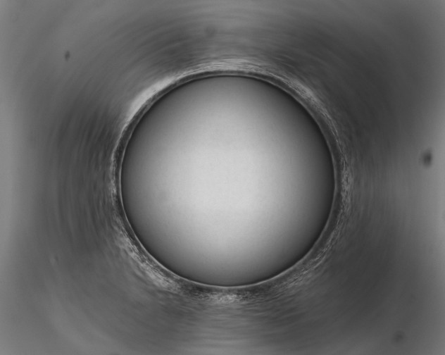 X0000116341230200912151321