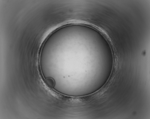 X0000116341231200912151321