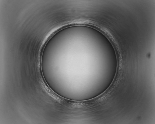 X0000116341232200912151321