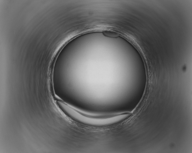 X0000116341235200912151321