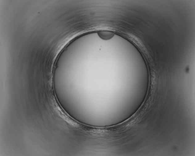 X0000116341236200912151321