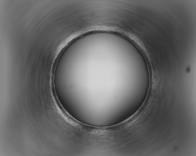 X0000116341237200912151321