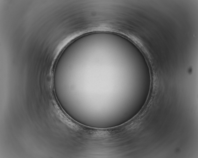 X0000116341238200912151321