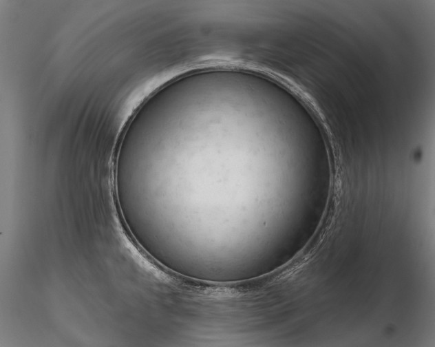 X0000116341239200912151321