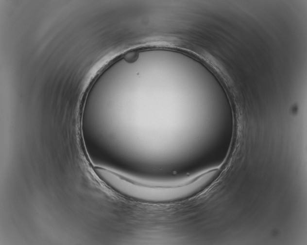 X0000116341240200912151321