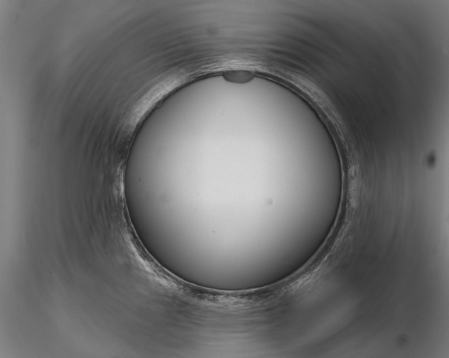 X0000116341241200912151321