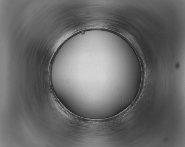 X0000116341242200912151321