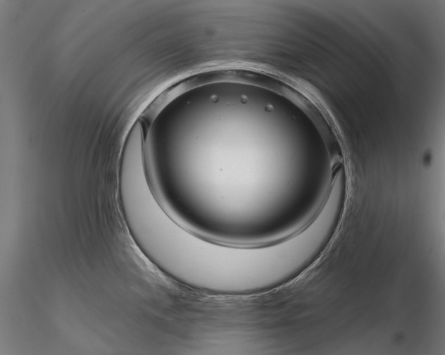 X0000116341244200912151321