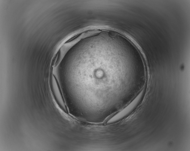 X0000116341245200912151321