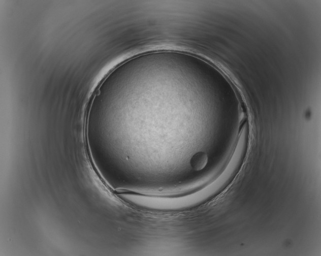 X0000116341246200912151321