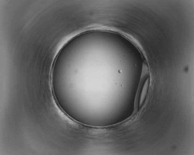 X0000116341247200912151321