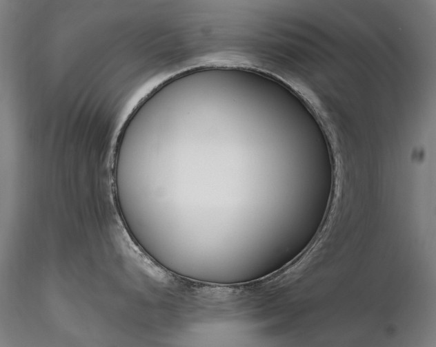 X0000116341248200912151321