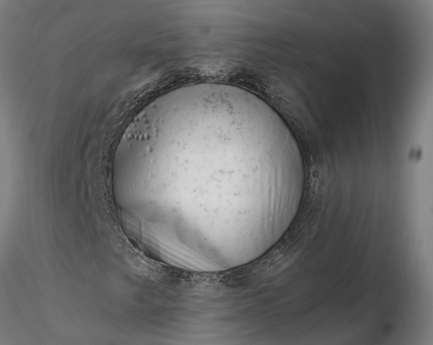 X0000116341249200912151320