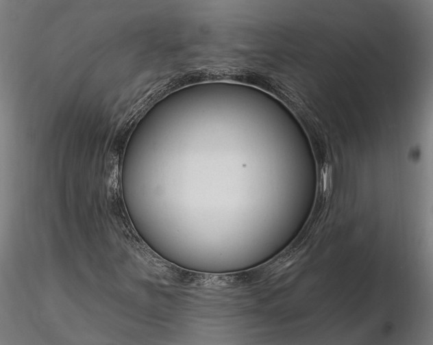 X0000116341251200912151320