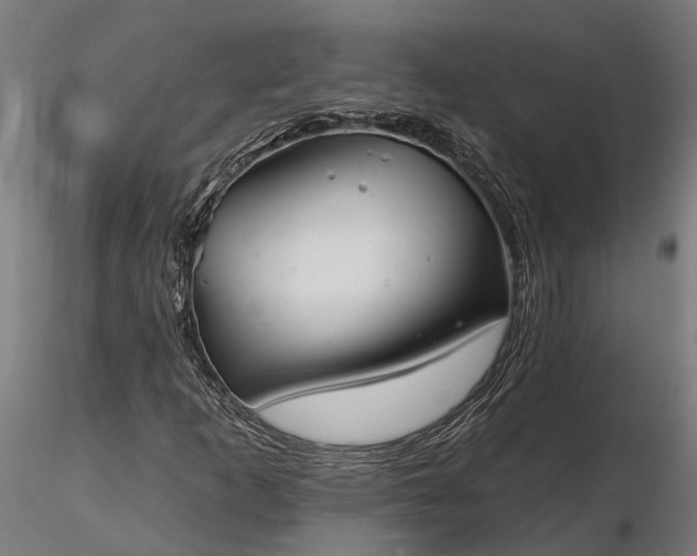 X0000116341253200912151320