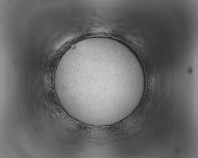 X0000116341254200912151320