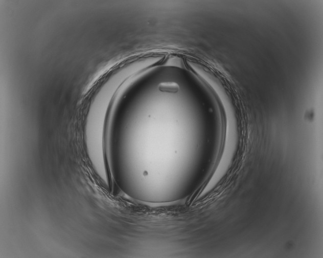 X0000116341256200912151320