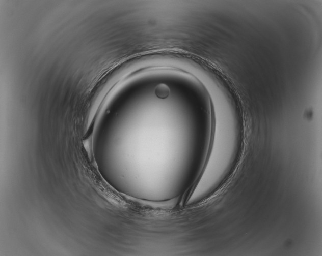 X0000116341257200912151320