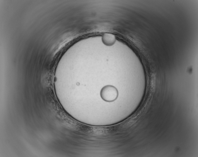 X0000116341258200912151320