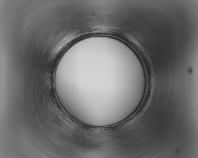 X0000116341259200912151320