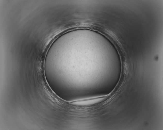 X0000116341260200912151320