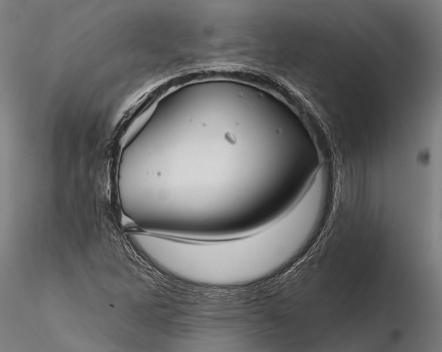 X0000116341262200912151320