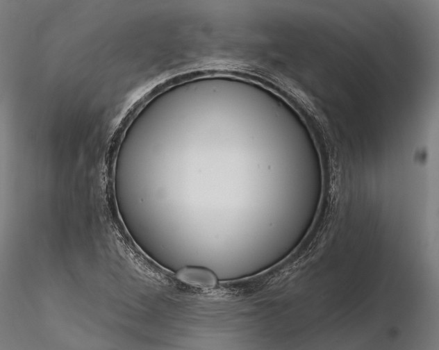 X0000116341264200912151320