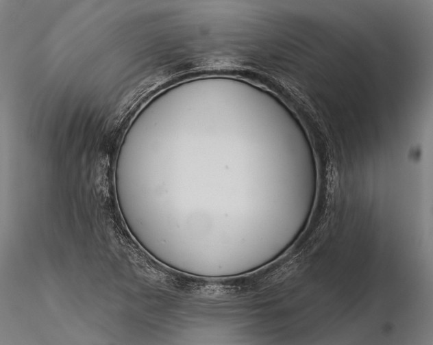 X0000116341265200912151320