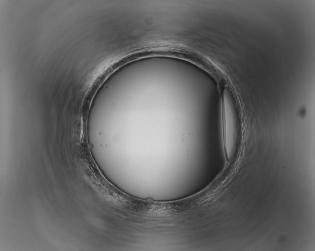 X0000116341267200912151320