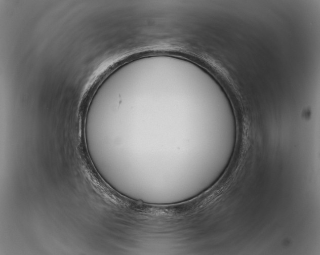 X0000116341270200912151320