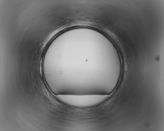 X0000116341272200912151320