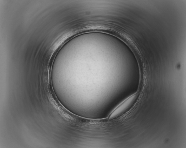 X0000116341274200912151320