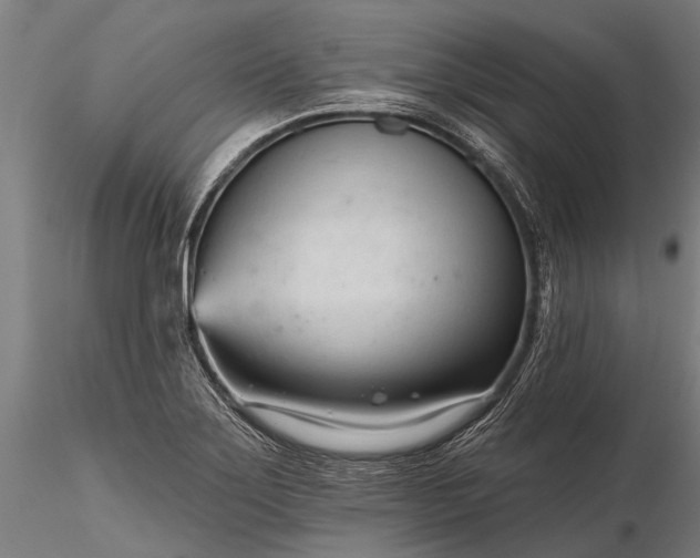 X0000116341275200912151320