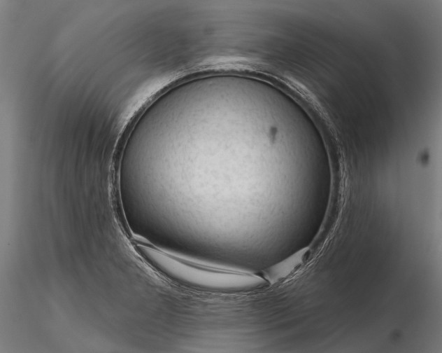 X0000116341277200912151320