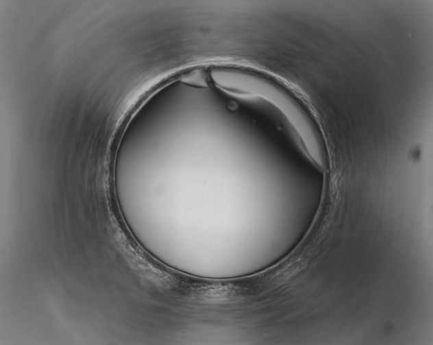 X0000116341279200912151320