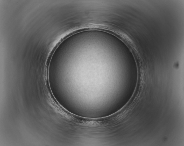 X0000116341280200912151320