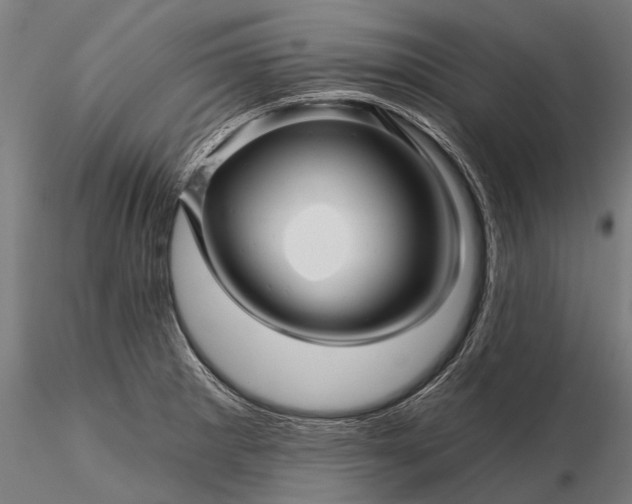 X0000116341281200912151320