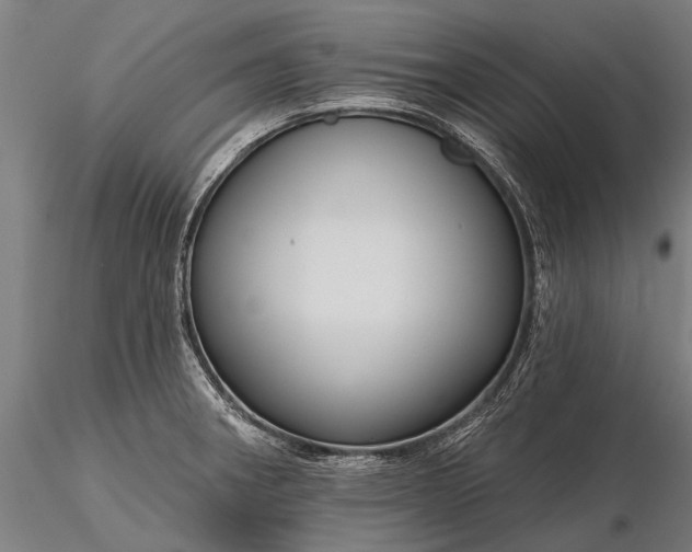 X0000116341282200912151320