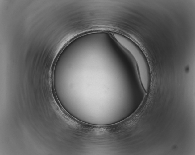 X0000116341283200912151320