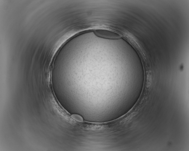 X0000116341284200912151320