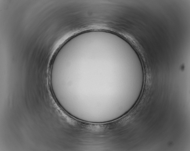 X0000116341286200912151320