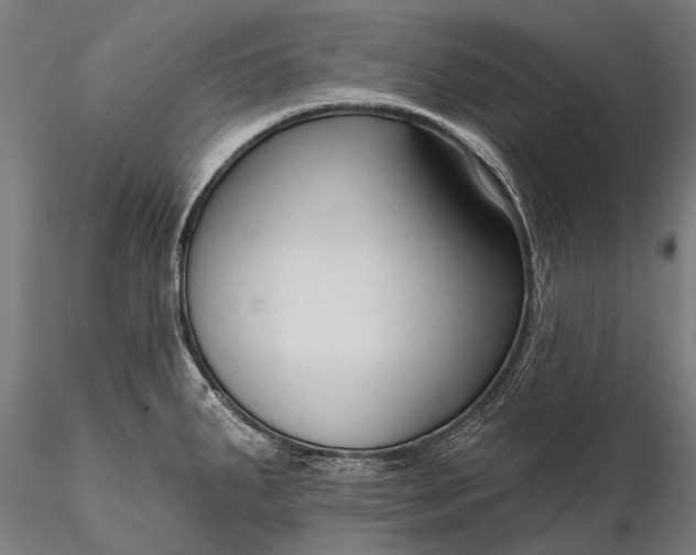 X0000116341287200912151320