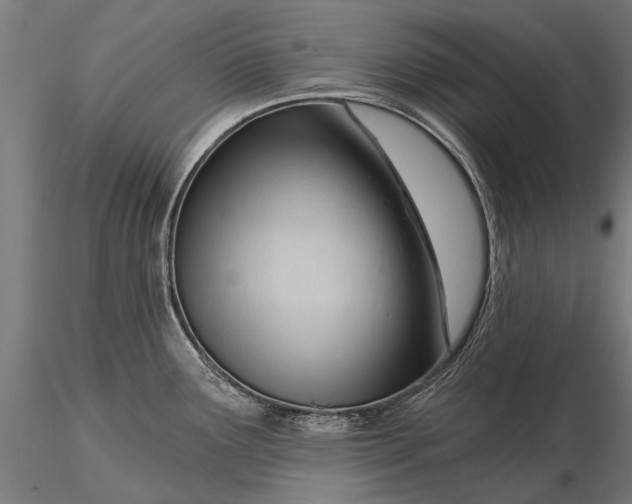 X0000116341291200912151319