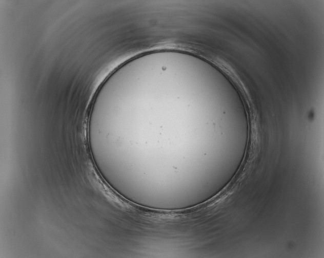 X0000116341292200912151319