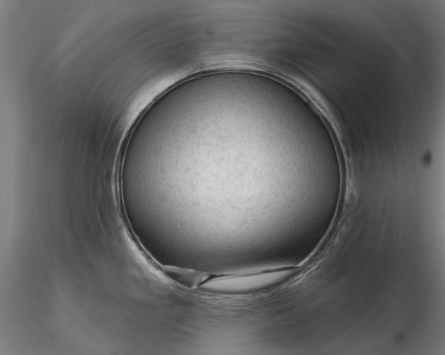 X0000116341293200912151319