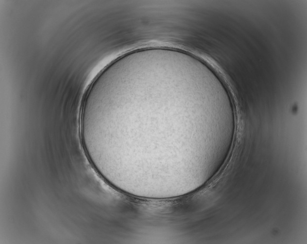 X0000116341294200912151319