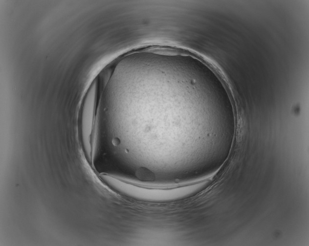 X0000116341295200912151319